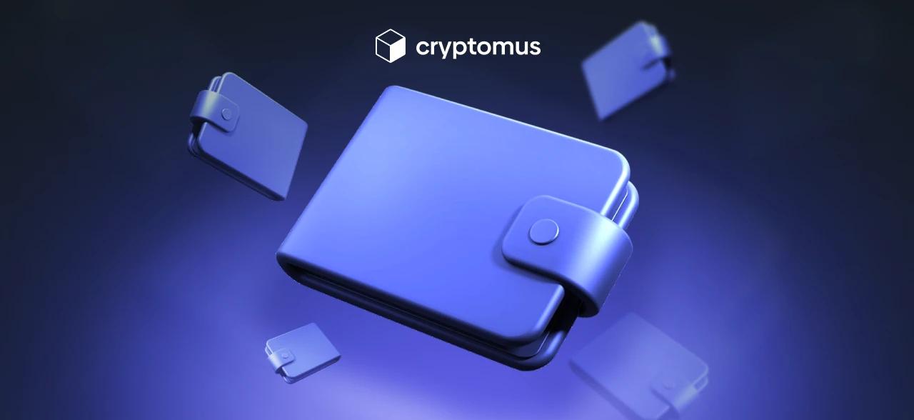 How to Manage Multiple Crypto Wallets