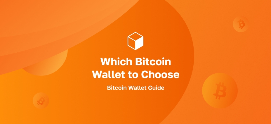 Which Bitcoin Wallet to Choose: Bitcoin Wallet Guide
