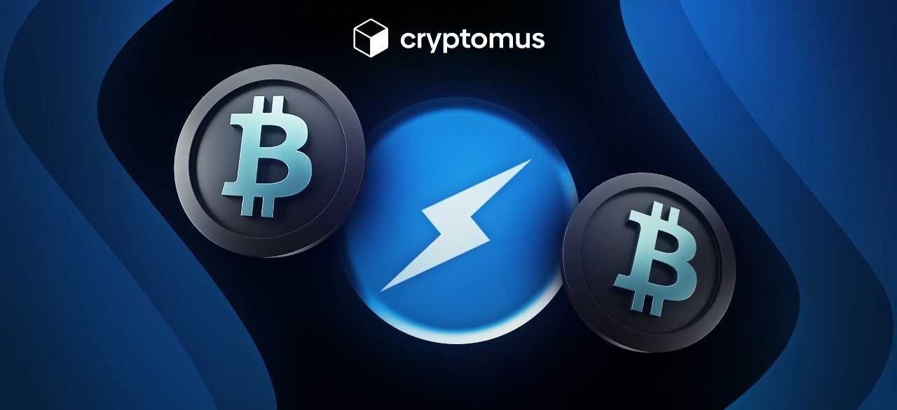 محفظة Lightning Network: اختيار أفضل محفظة Bitcoin Lightning