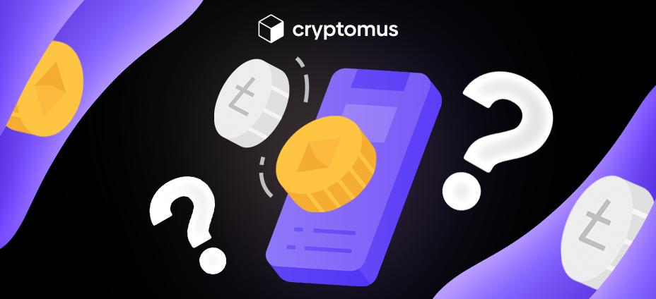 Comment connecter le traitement de la crypto-monnaie sur un site Web