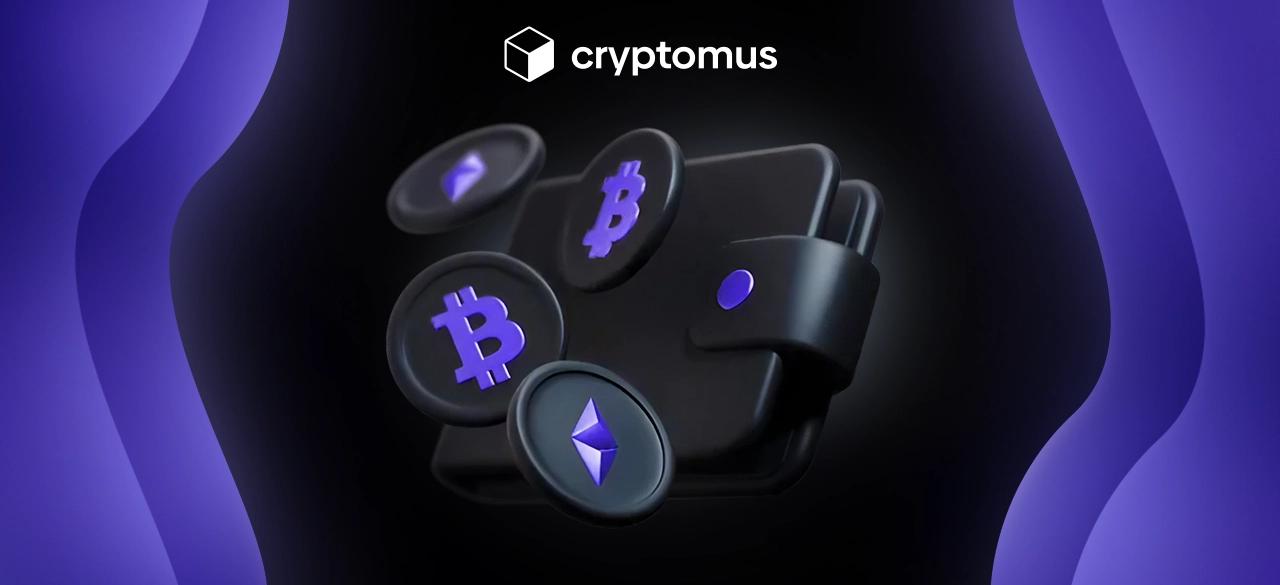 Нow to Set Up a Crypto Wallet