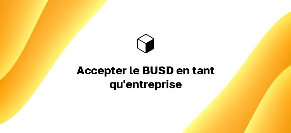 Accepter le BUSD en tant qu'entreprise : comment être payé en Bitcoin USD sur votre site Web ?