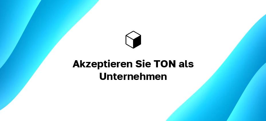 Akzeptieren Sie TON als Unternehmen: Wie werden Sie auf Ihrer Website mit Toncoin bezahlt?