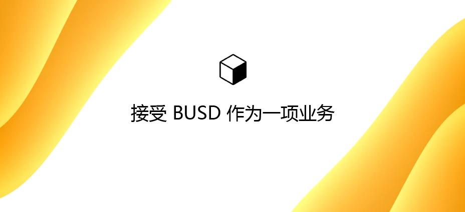 接受 BUSD 作为一项业务：如何在您的网站上以比特币美元收款？