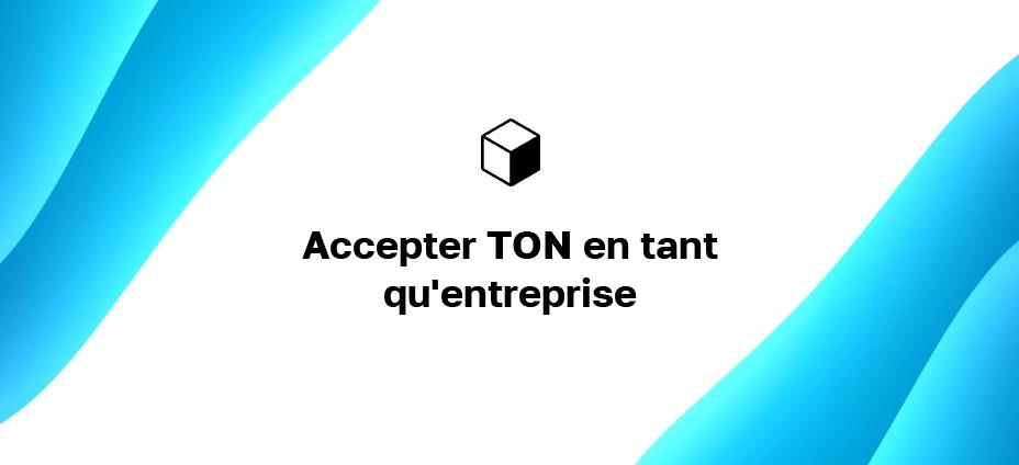 Accepter TON en tant qu'entreprise : comment être payé en Toncoin sur votre site Web ?