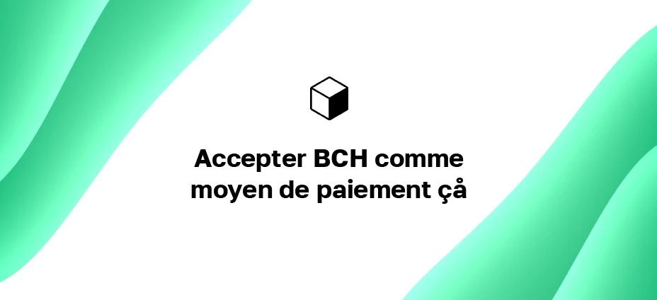 Accepter BCH en tant qu'entreprise : comment être payé en Bitcoin Cash sur votre site Web ?
