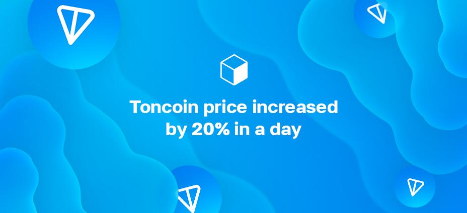 Toncoin price increased by 20% in a day