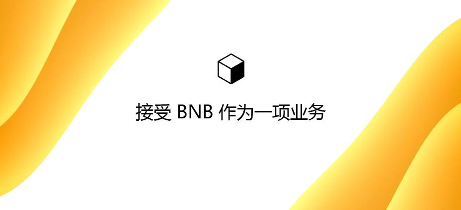 接受 BNB 作为一项业务：如何在您的网站上使用币安币付款？