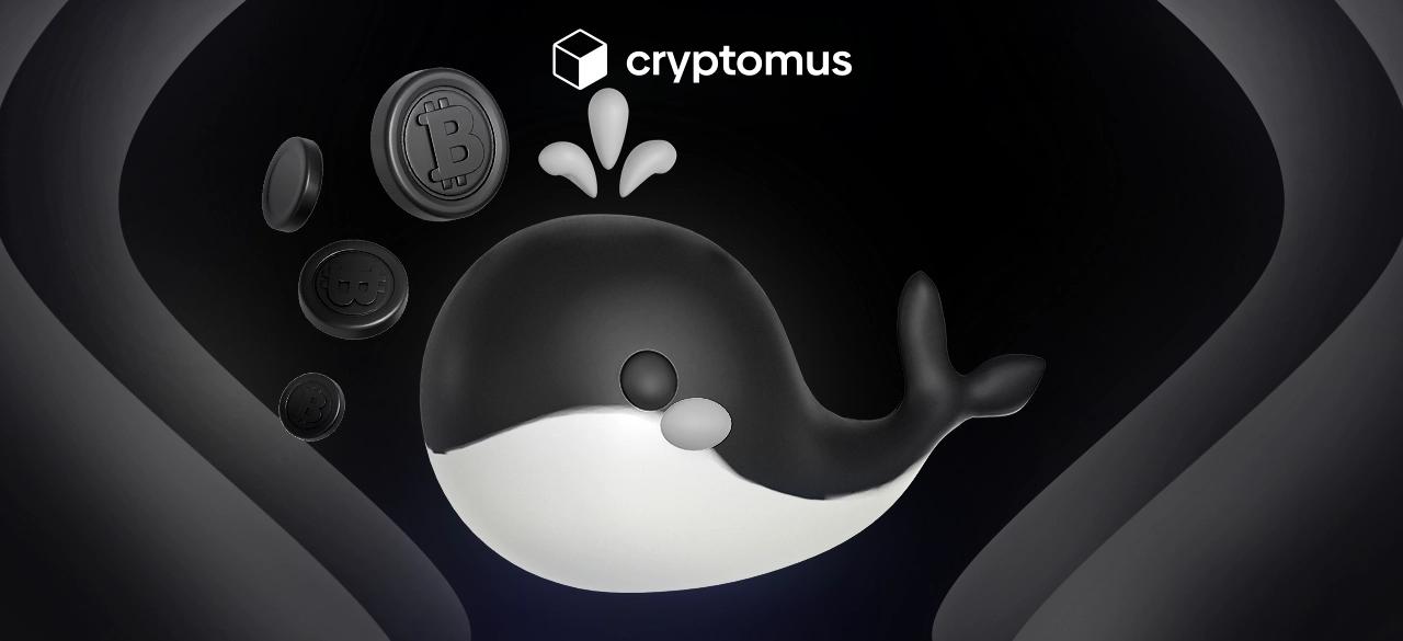 Crypto Whales: Who Owns the Most Crypto in the World?