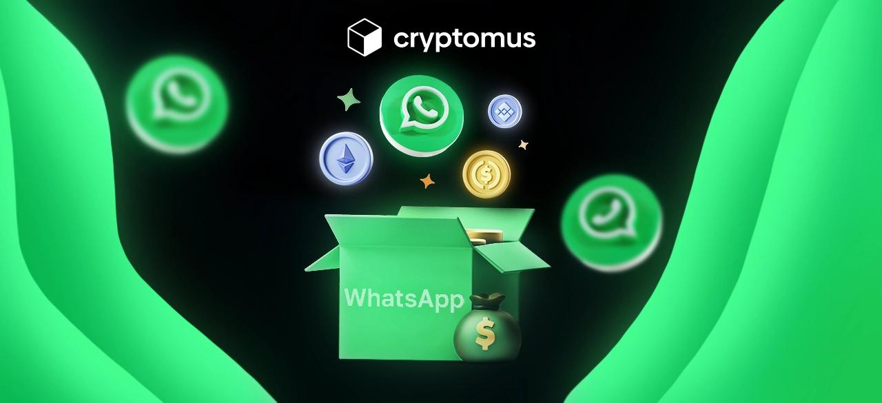 WhatsApp bot orqali kriptovalyuta to'lovlarini qanday qabul qilish mumkin?