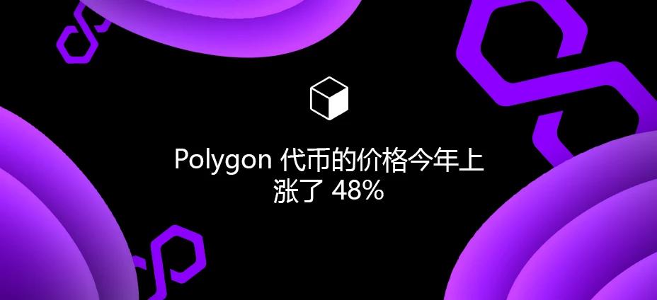 Polygon 代币的价格今年上涨了 48%